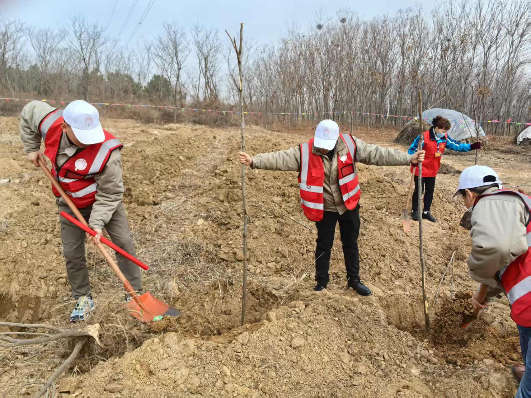 &#80;&#84;&#30495;&#20154;&#65288;&#20013;&#22269;&#65289;&#23448;&#26041;&#32593;&#31449;
