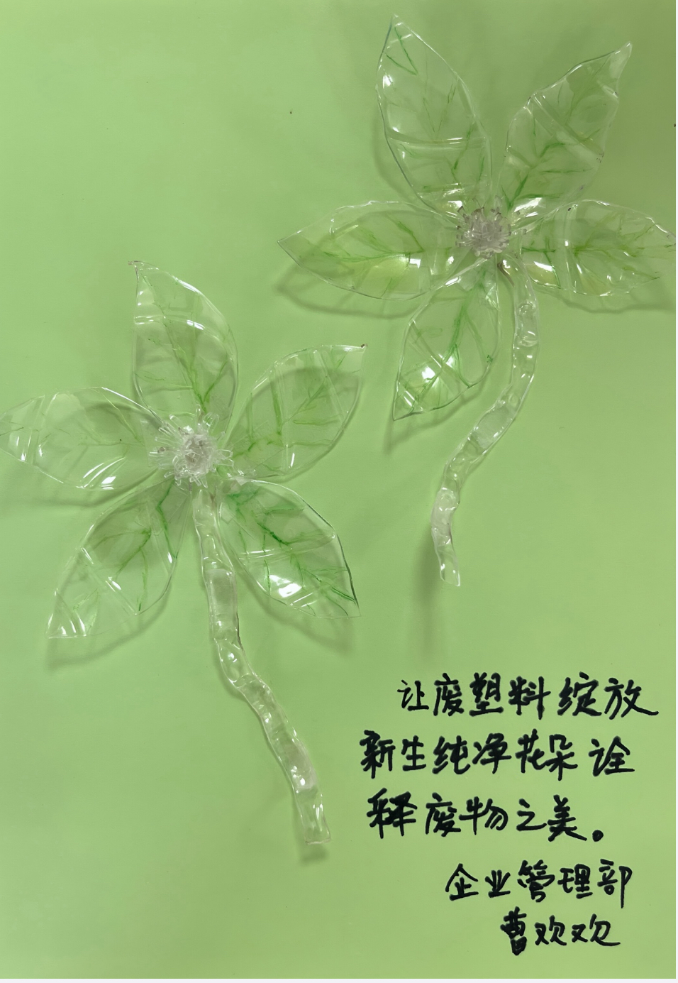 &#80;&#84;&#30495;&#20154;&#65288;&#20013;&#22269;&#65289;&#23448;&#26041;&#32593;&#31449;